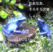 摜uY4v