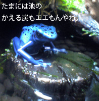 摜uY5v