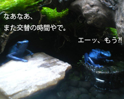 摜uY6v