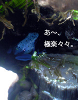 摜u2v