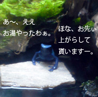 摜u3v