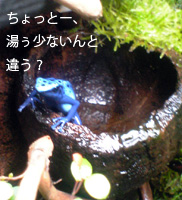 摜u4v