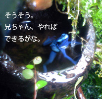 摜u5v