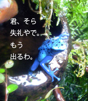 摜u6v